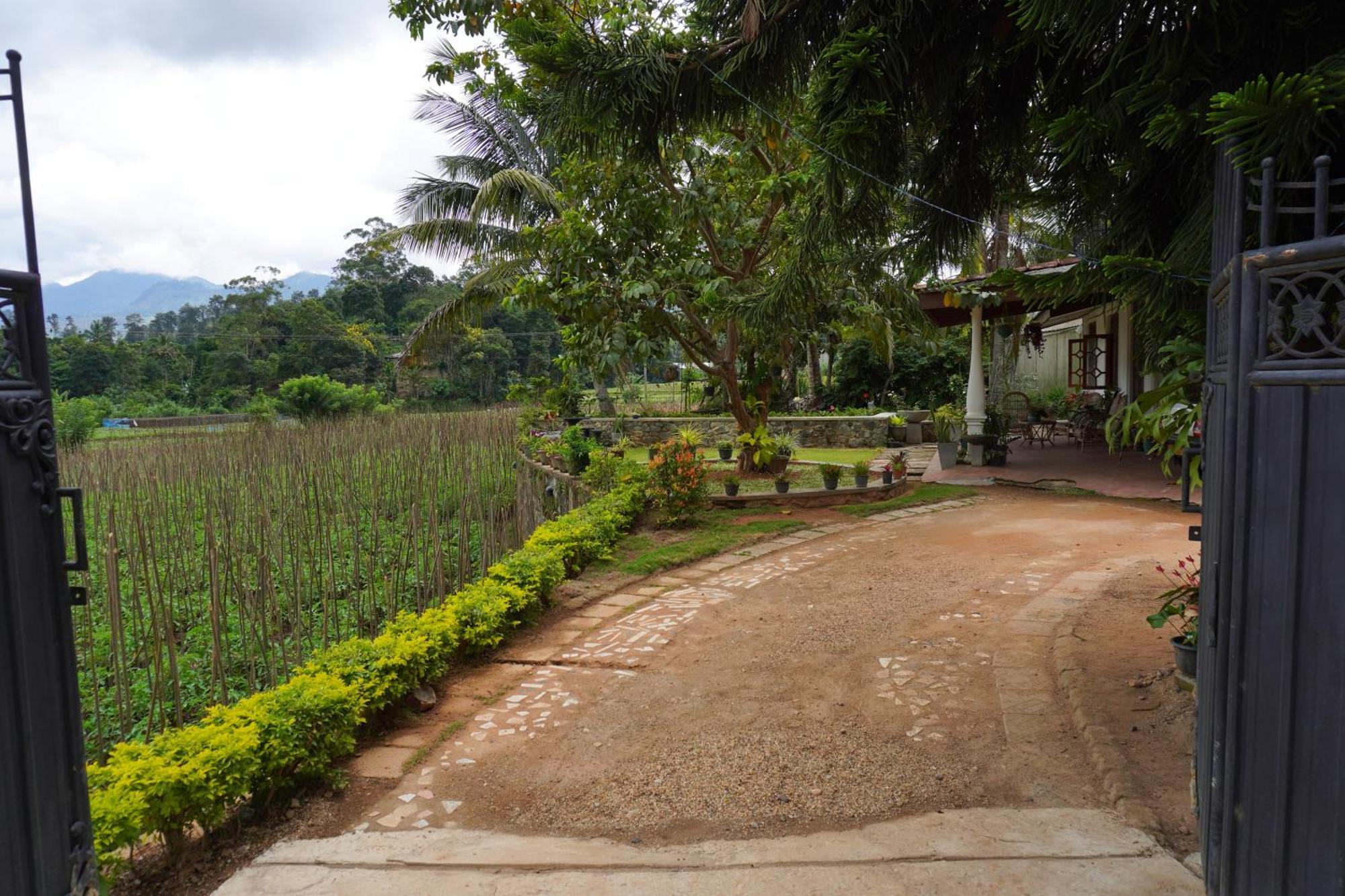 Ella Nature Valley Homestay Exterior foto