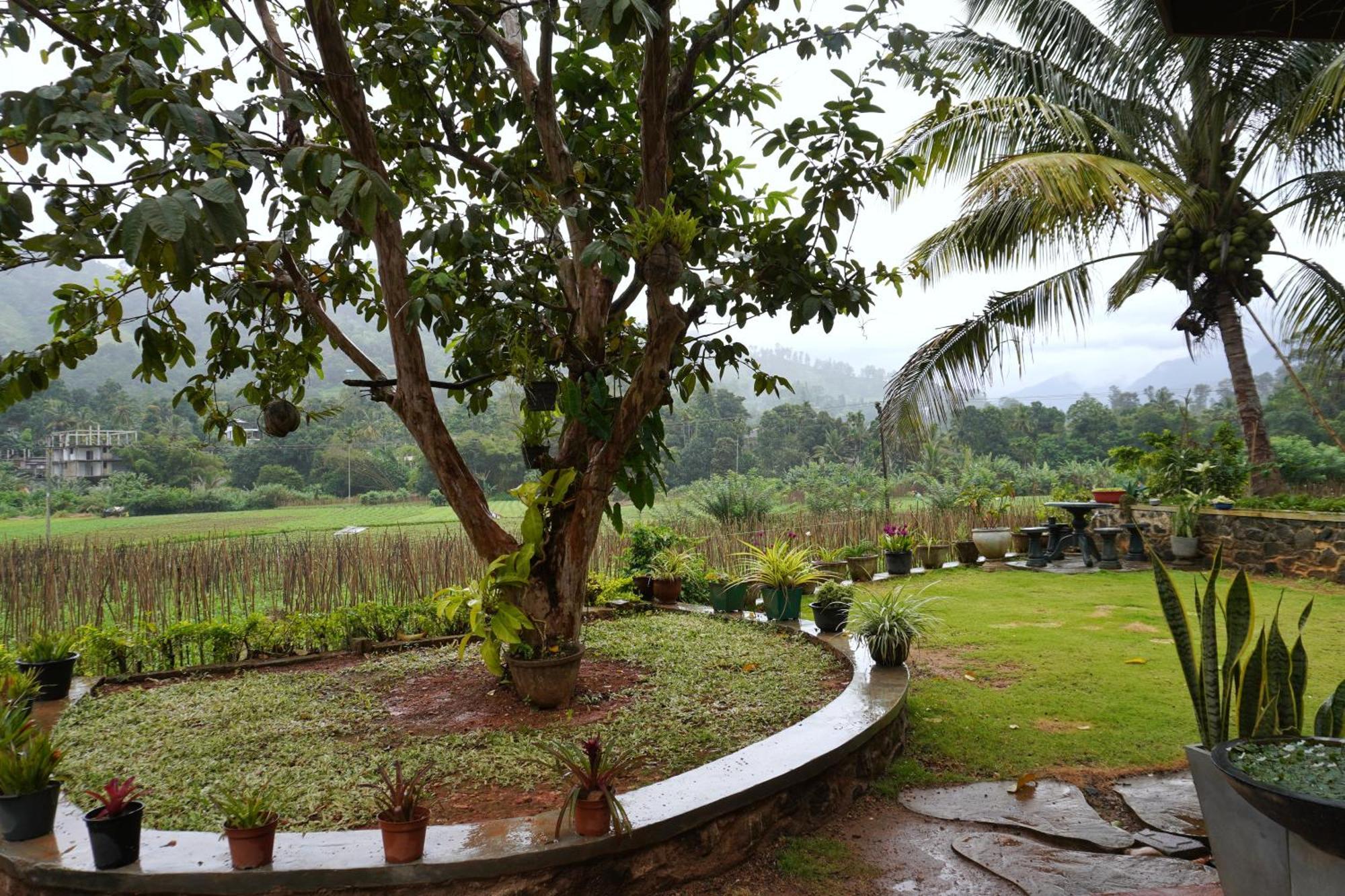 Ella Nature Valley Homestay Exterior foto