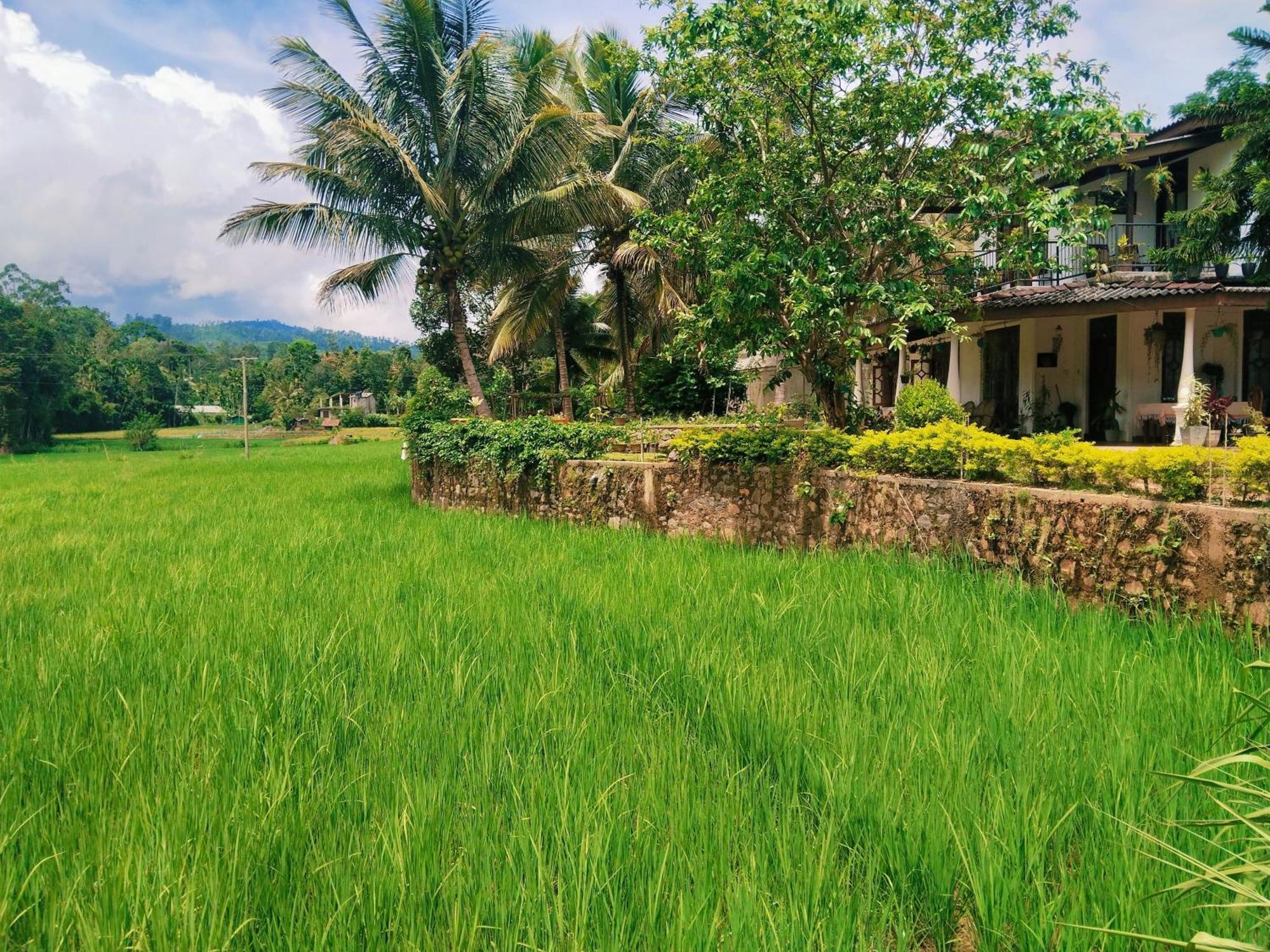 Ella Nature Valley Homestay Exterior foto