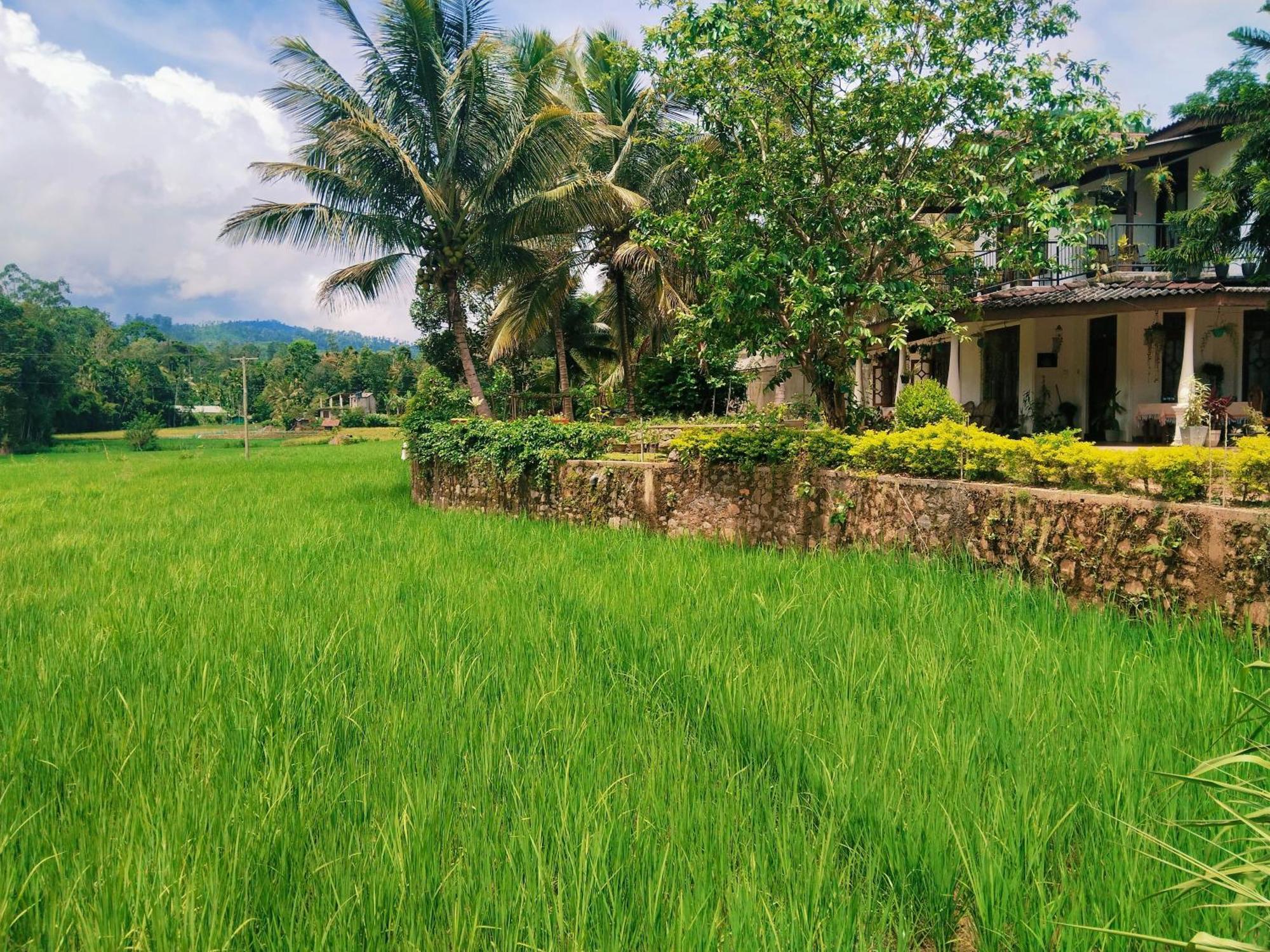 Ella Nature Valley Homestay Exterior foto